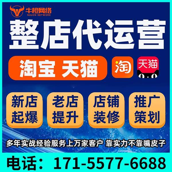 淘宝天猫代运营案例